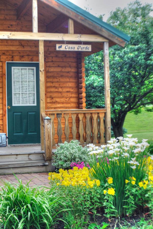 Los Gatos Bed & Breakfast 펜얀 외부 사진