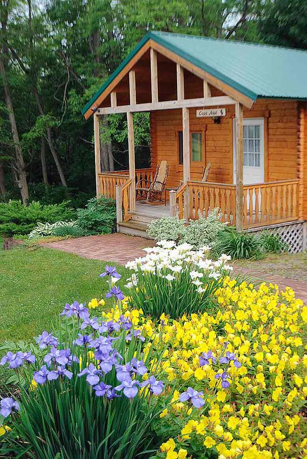 Los Gatos Bed & Breakfast 펜얀 외부 사진