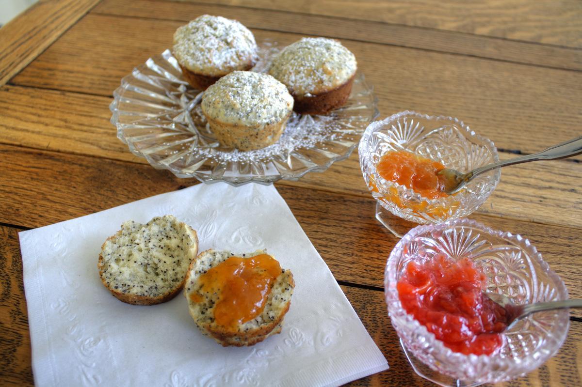 Los Gatos Bed & Breakfast 펜얀 외부 사진