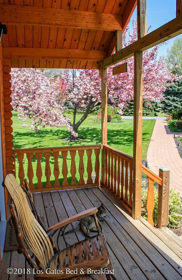 Los Gatos Bed & Breakfast 펜얀 외부 사진